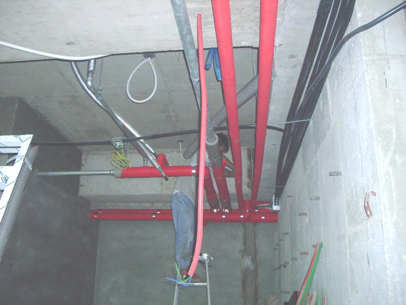 IMGP0937.jpg