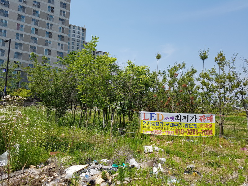 20160603_134922.jpg